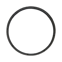 Freightliner Rear Axle Flange O-Ring single detail